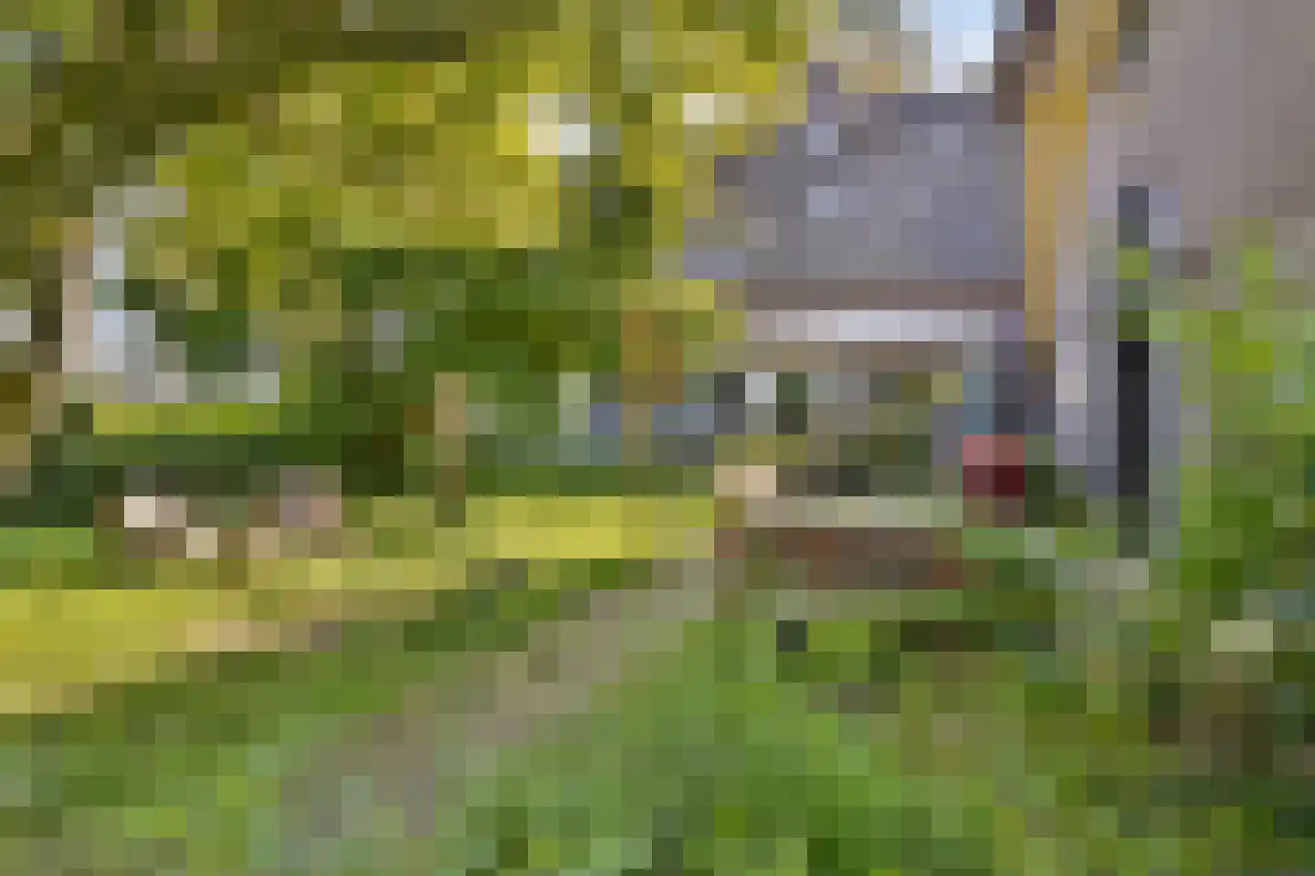 Holterweg 52 Heeten thumbnail 13