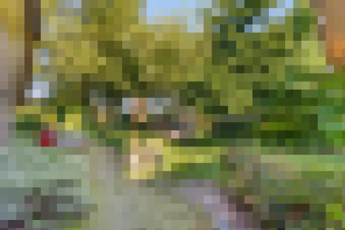 Holterweg 52 Heeten thumbnail 14