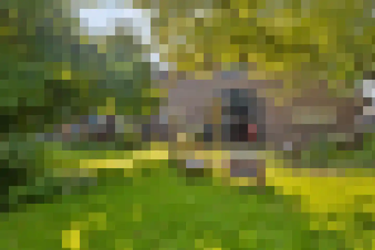 Holterweg 52 Heeten thumbnail 16