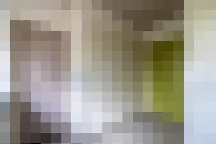 Holterweg 68 Doetinchem thumbnail 15