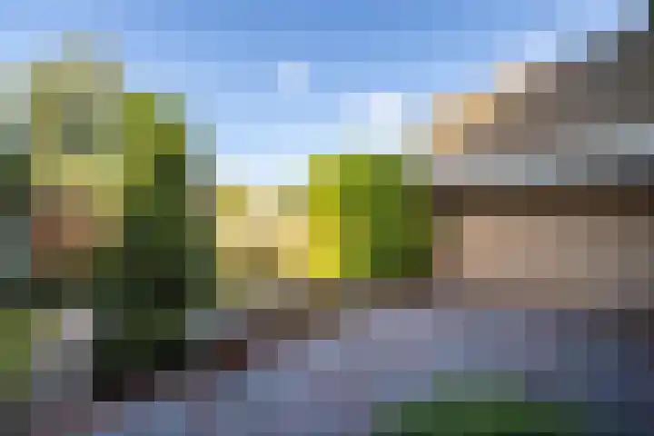 Holterweg 68 Doetinchem thumbnail 18