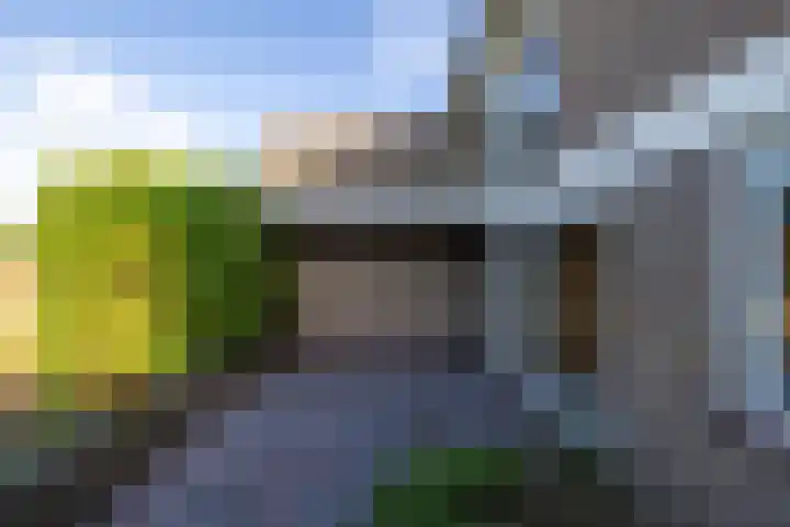 Holterweg 68 Doetinchem thumbnail 19
