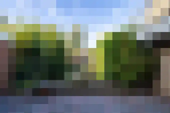 Holterweg 68 Doetinchem thumbnail 24