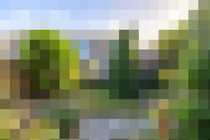 Holterweg 68 Doetinchem thumbnail 25