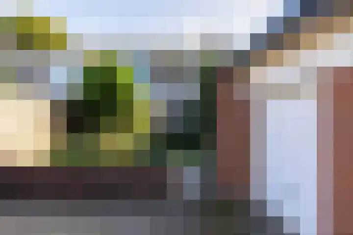 Holterweg 68 Doetinchem thumbnail 26