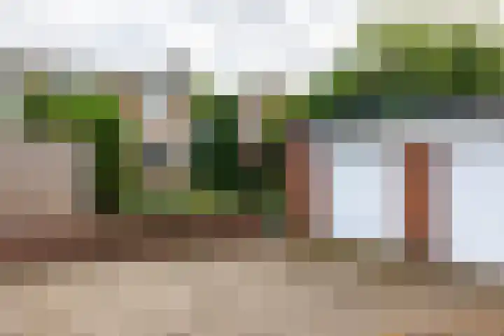 Holterweg 68 Doetinchem thumbnail 27