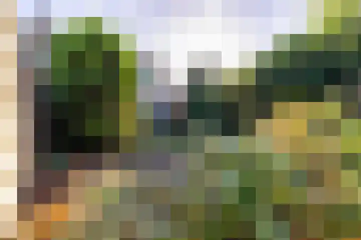 Holterweg 68 Doetinchem thumbnail 29
