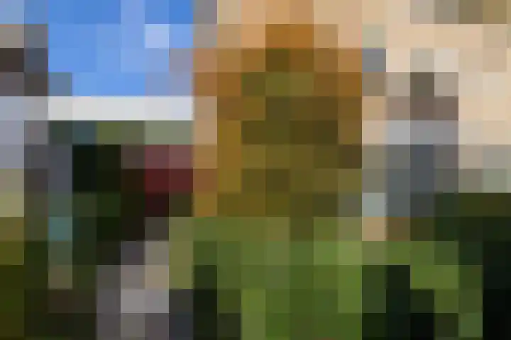 Holterweg 68 Doetinchem thumbnail 30