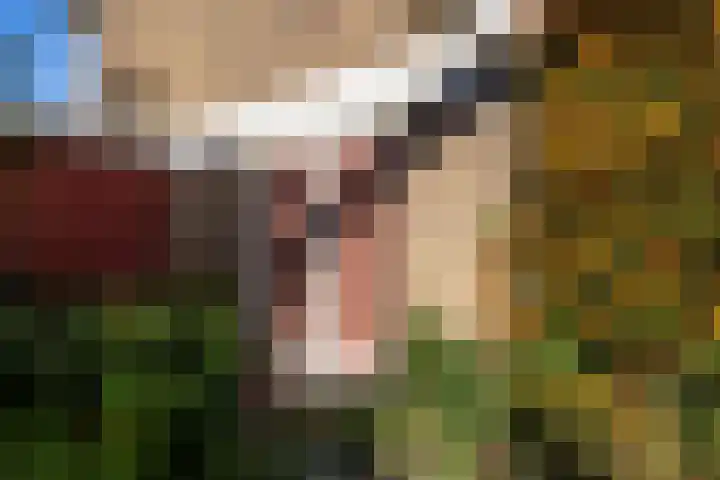 Holterweg 68 Doetinchem thumbnail 31