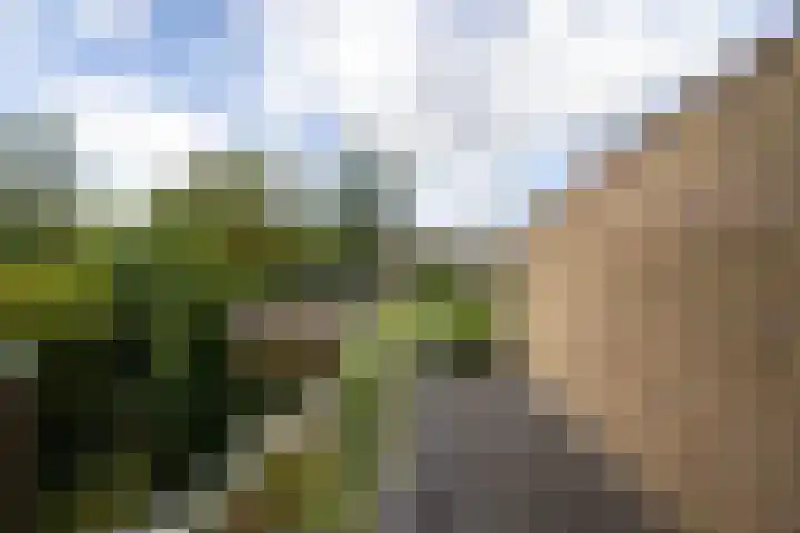 Holterweg 68 Doetinchem thumbnail 40