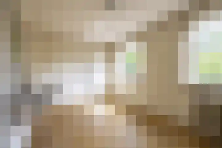 Holterweg 68 Doetinchem thumbnail 47