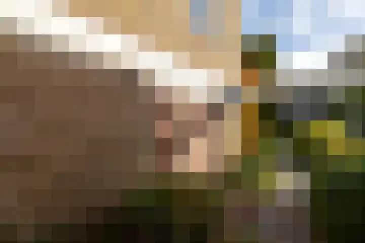 Holterweg 68 Doetinchem thumbnail 54
