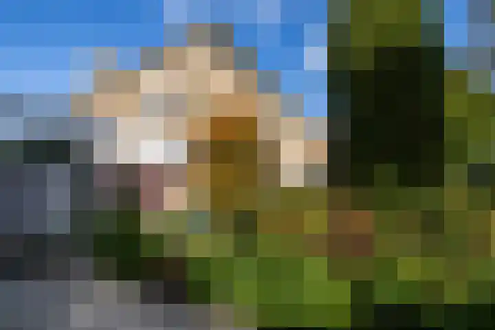 Holterweg 68 Doetinchem thumbnail 56