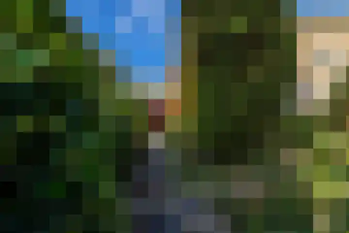 Holterweg 68 Doetinchem thumbnail 57