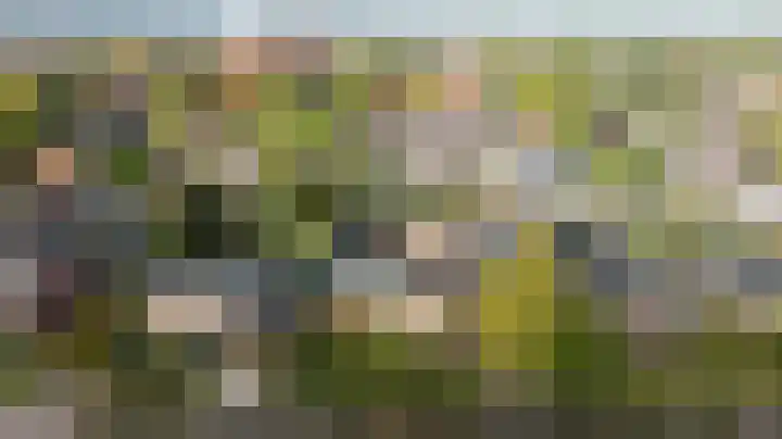 Holterweg 68 Doetinchem thumbnail 66
