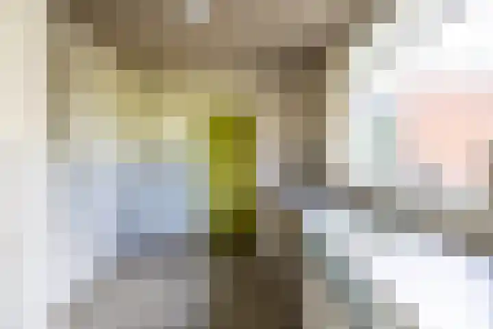 Holterweg 68 Doetinchem thumbnail 9