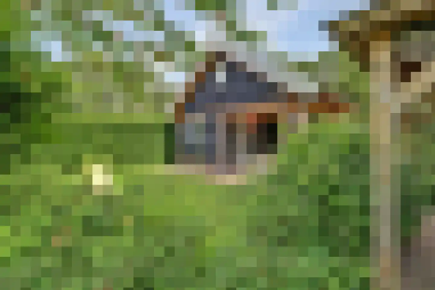 Holterweg 76 Laren thumbnail 21