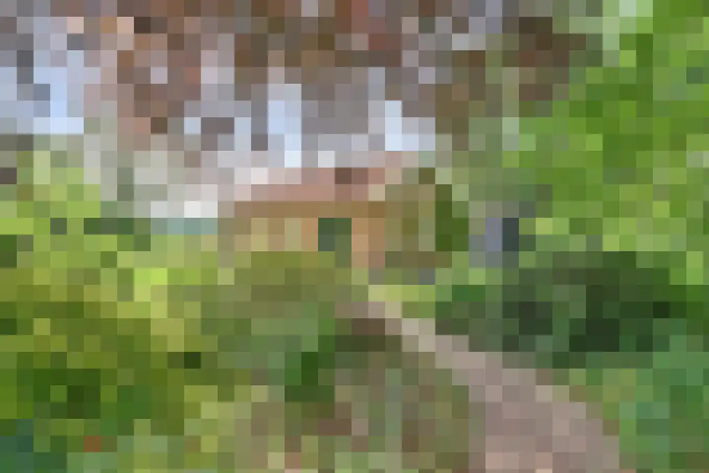 Holterweg 76 Laren thumbnail 30