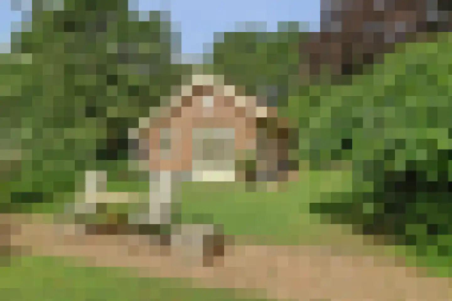 Holterweg 76 Laren thumbnail 32