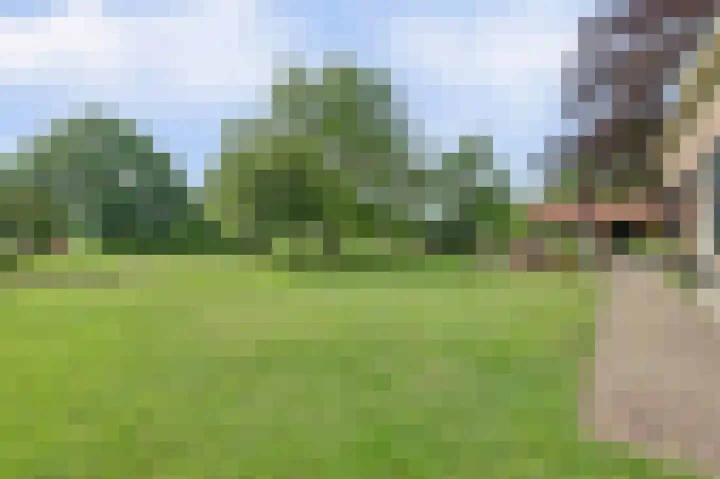 Holterweg 76 Laren thumbnail 39