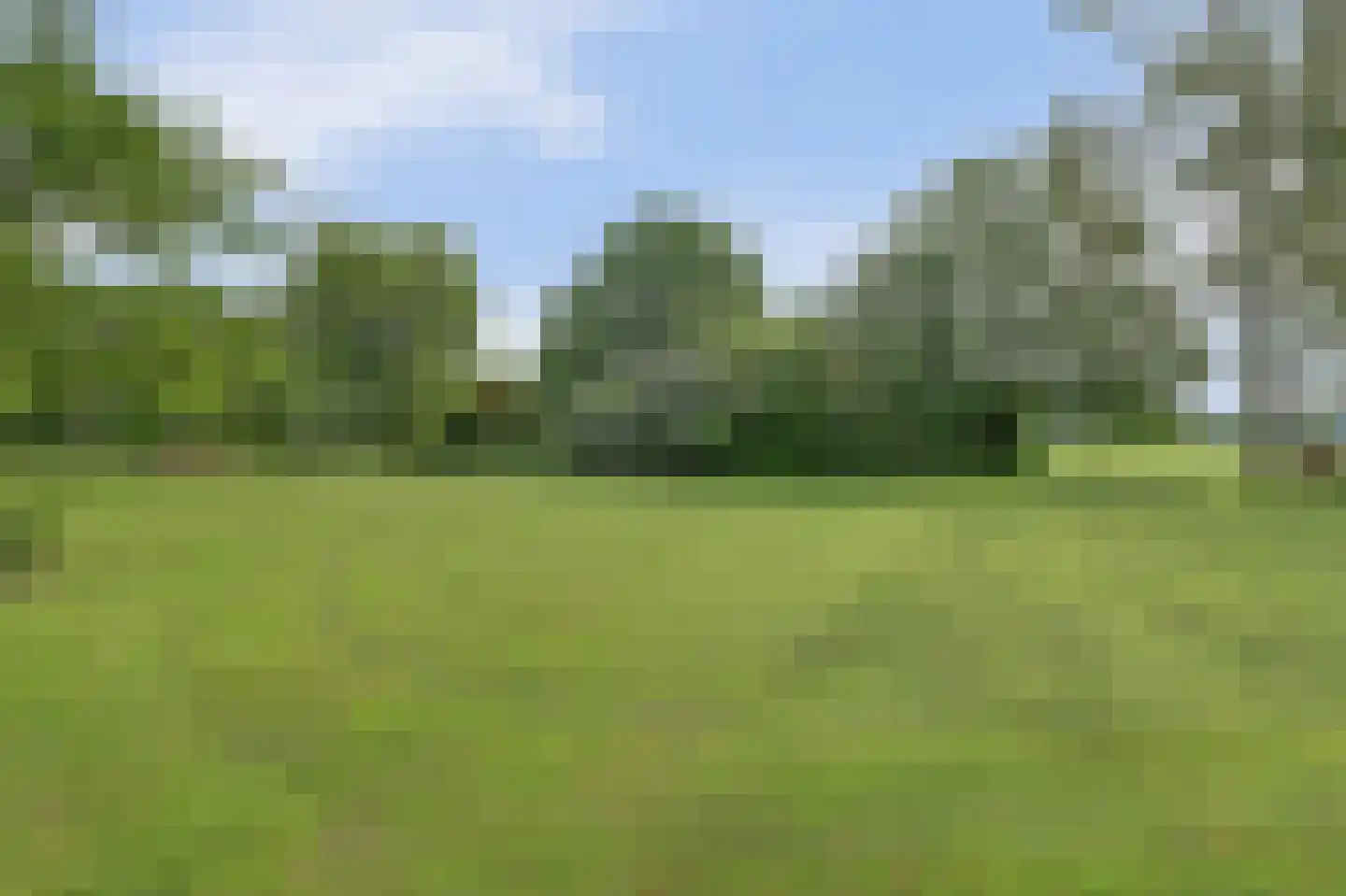 Holterweg 76 Laren thumbnail 40