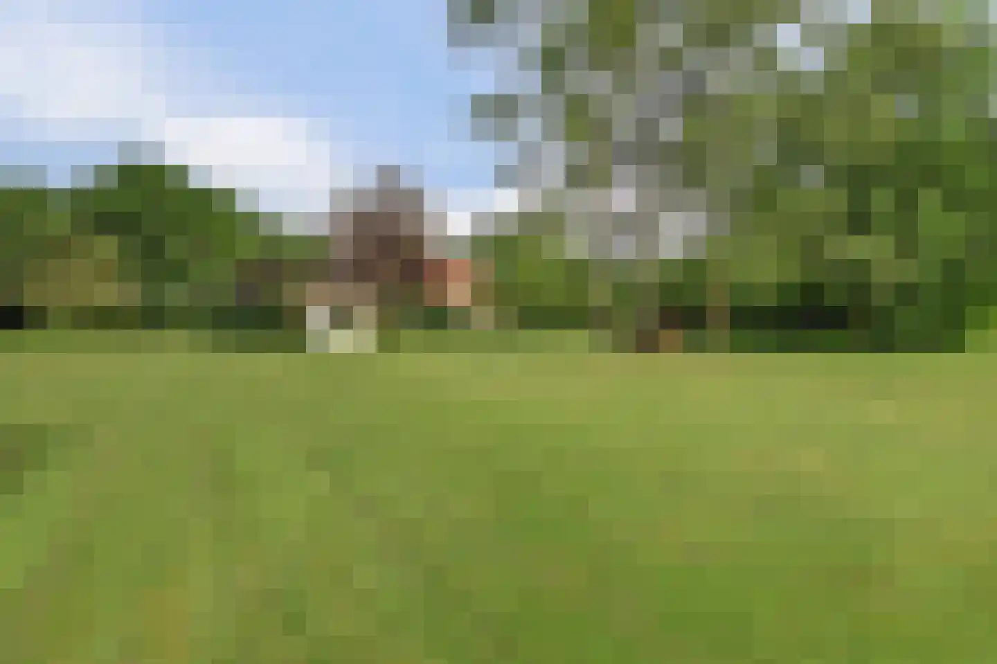 Holterweg 76 Laren thumbnail 42