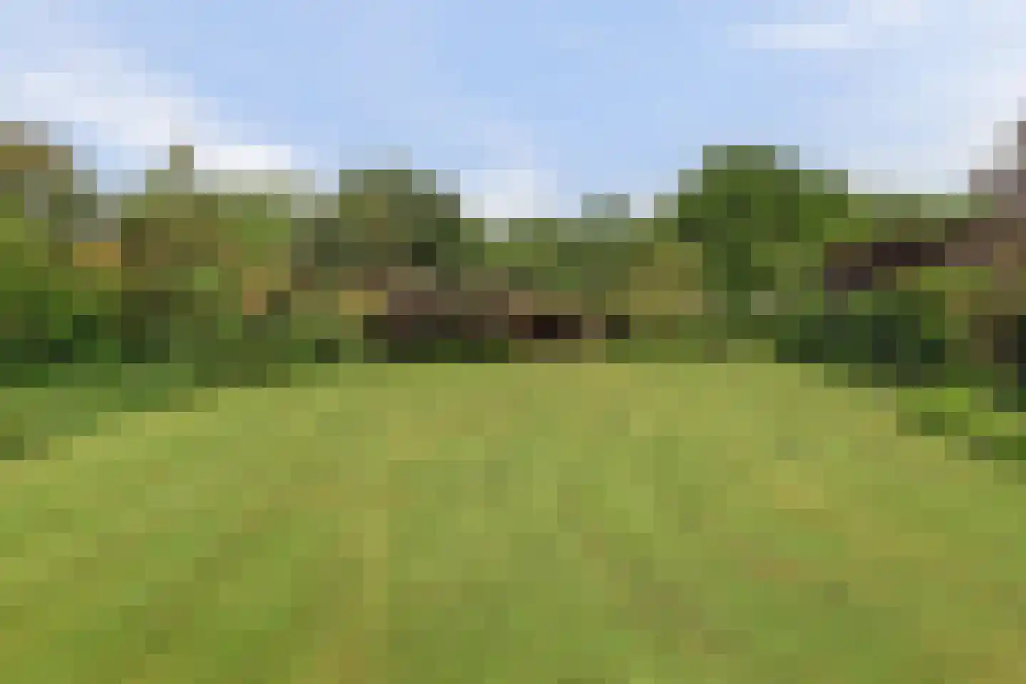 Holterweg 76 Laren thumbnail 46