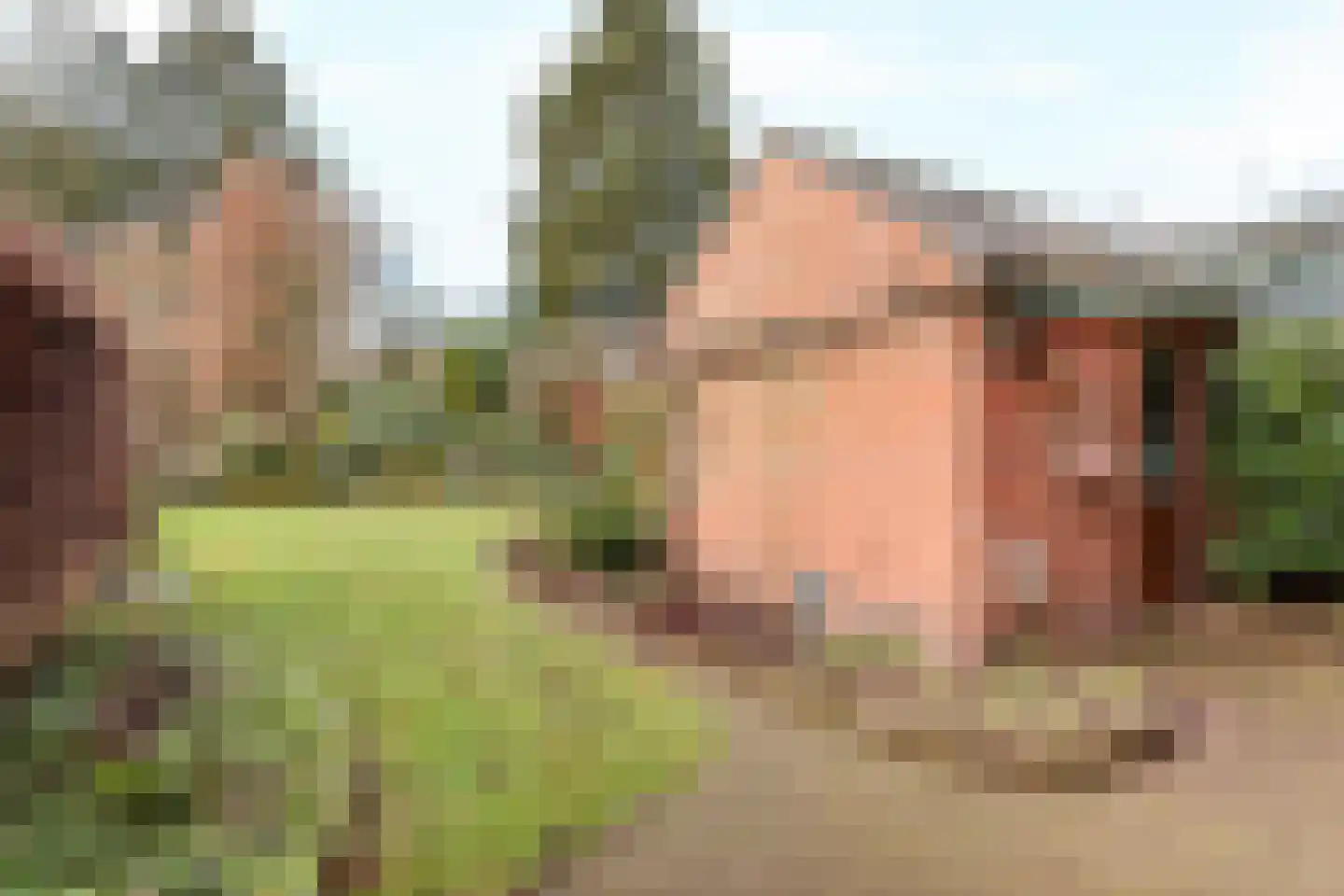 Holterweg 84 Nijverdal thumbnail 15
