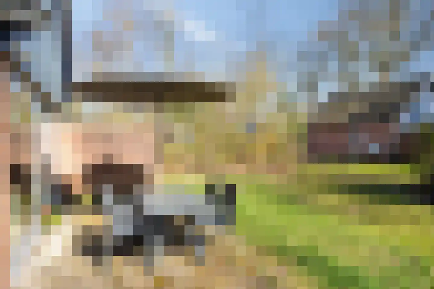 Holterweg 85 016 Nieuw Heeten thumbnail 21