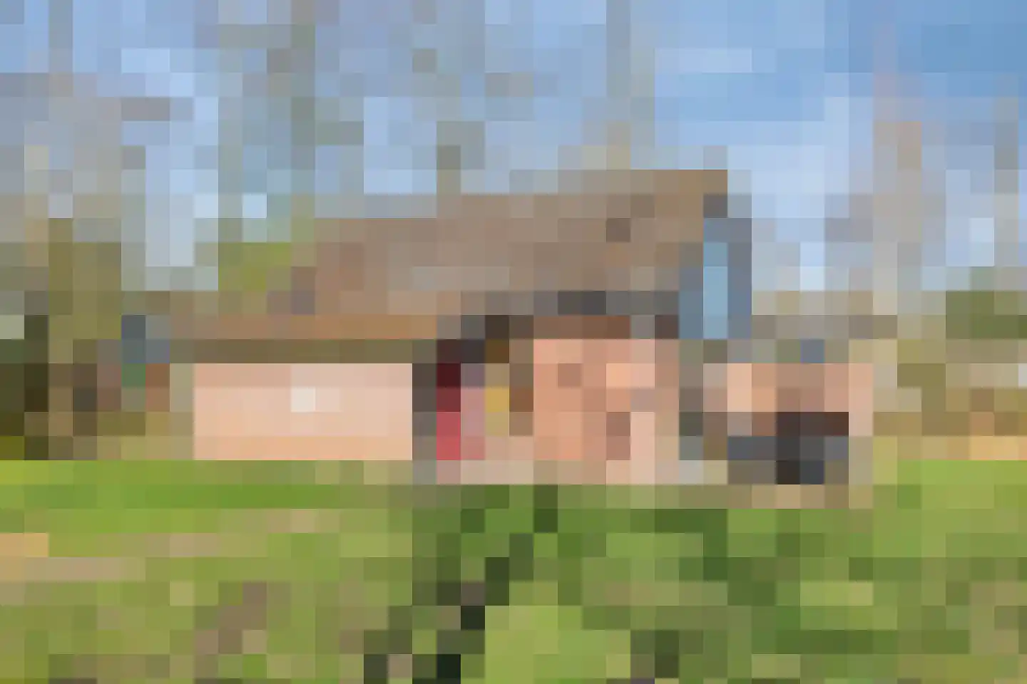 Holterweg 85 016 Nieuw Heeten thumbnail 22