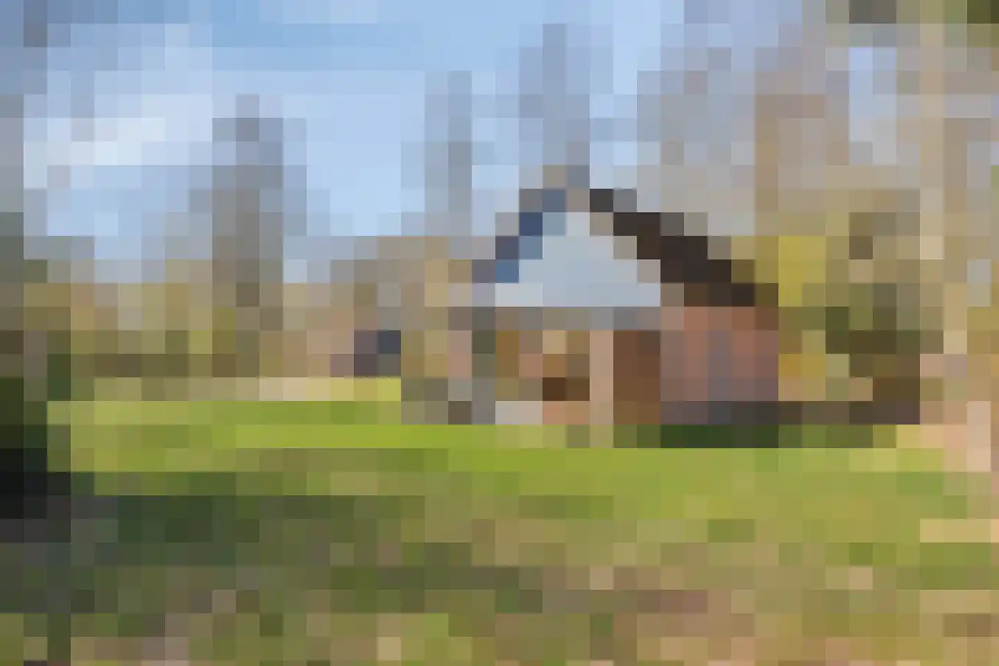 Holterweg 85 016 Nieuw Heeten thumbnail 25