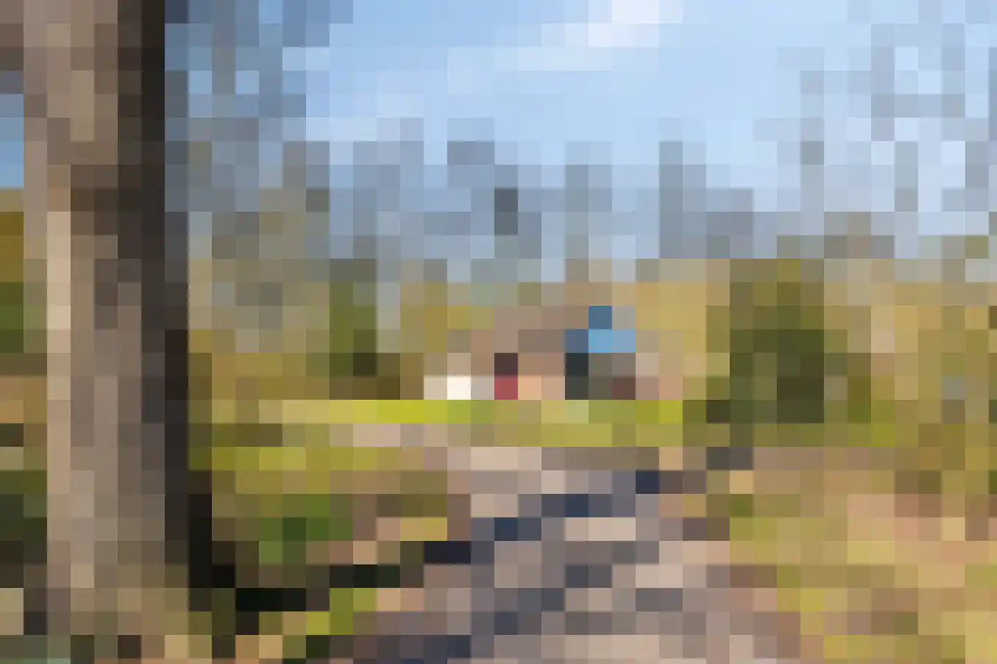 Holterweg 85 016 Nieuw Heeten thumbnail 27