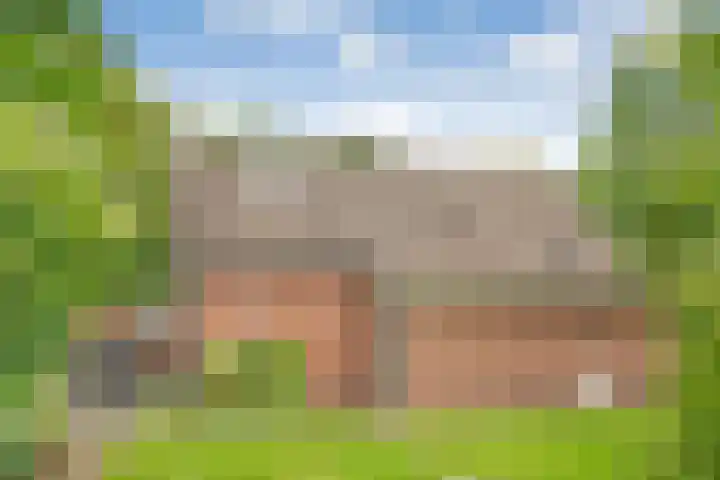 Holterweg 85 036 Nieuw Heeten thumbnail 10