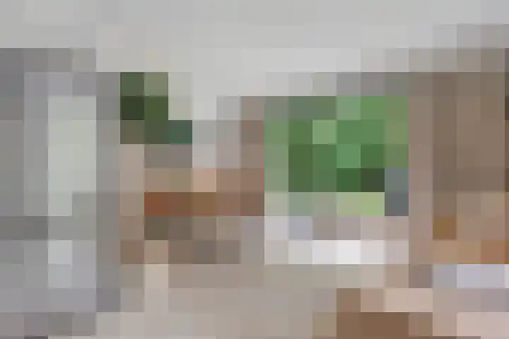 Holterweg 85 036 Nieuw Heeten thumbnail 14