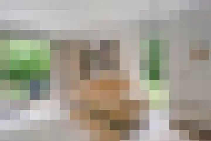 Holterweg 85 036 Nieuw Heeten thumbnail 15