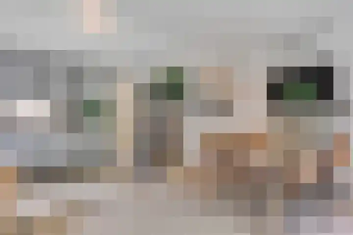 Holterweg 85 036 Nieuw Heeten thumbnail 16