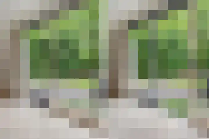 Holterweg 85 036 Nieuw Heeten thumbnail 17