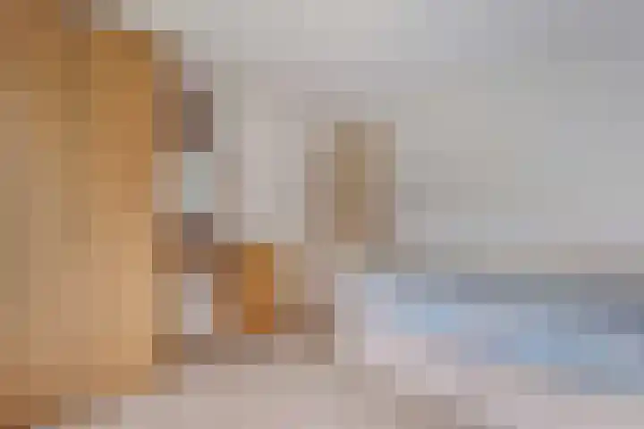 Holterweg 85 036 Nieuw Heeten thumbnail 21