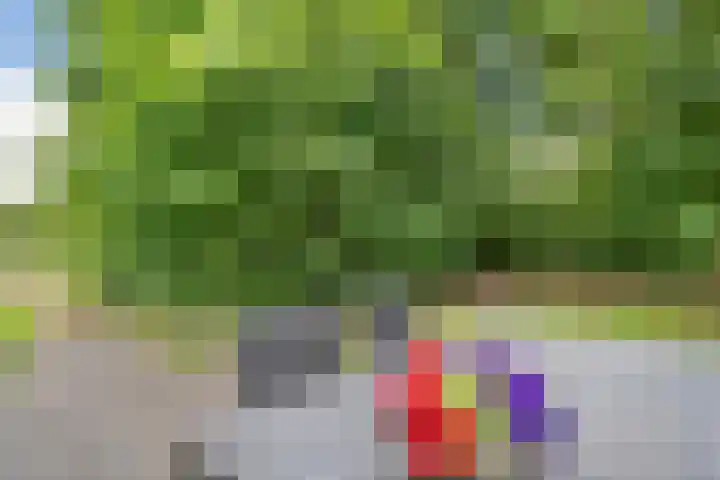 Holterweg 85 036 Nieuw Heeten thumbnail 29