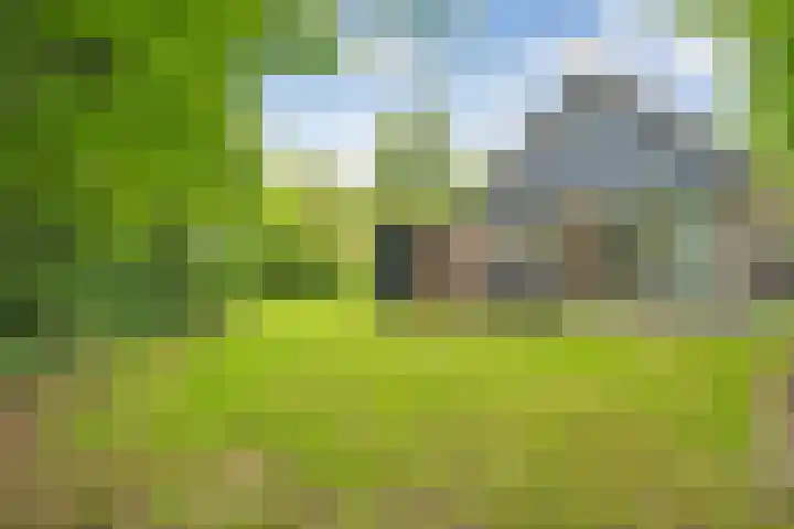 Holterweg 85 036 Nieuw Heeten thumbnail 30