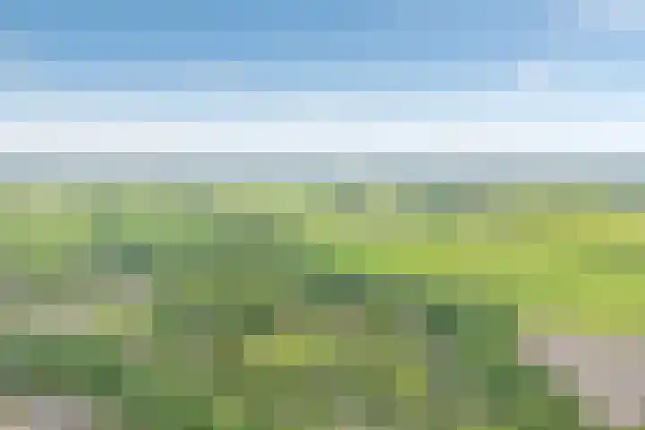 Holterweg 85 036 Nieuw Heeten thumbnail 4