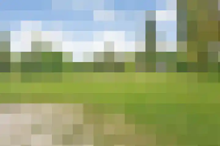 Holterweg 85 036 Nieuw Heeten thumbnail 5