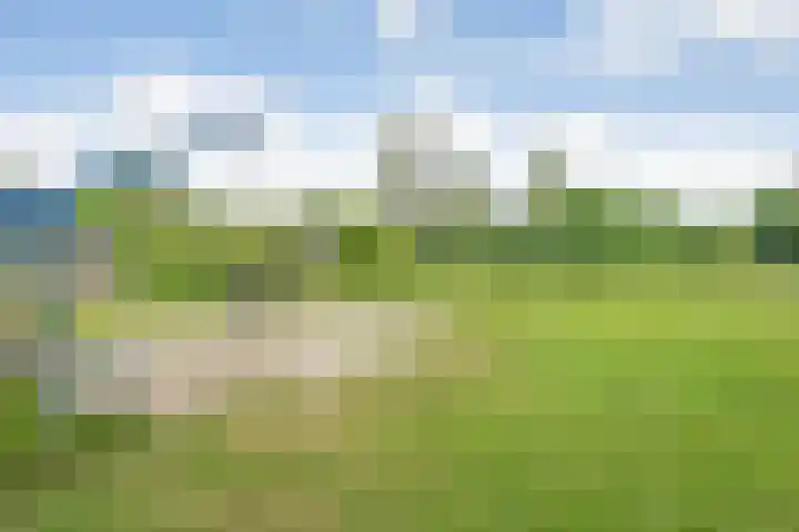 Holterweg 85 036 Nieuw Heeten thumbnail 6