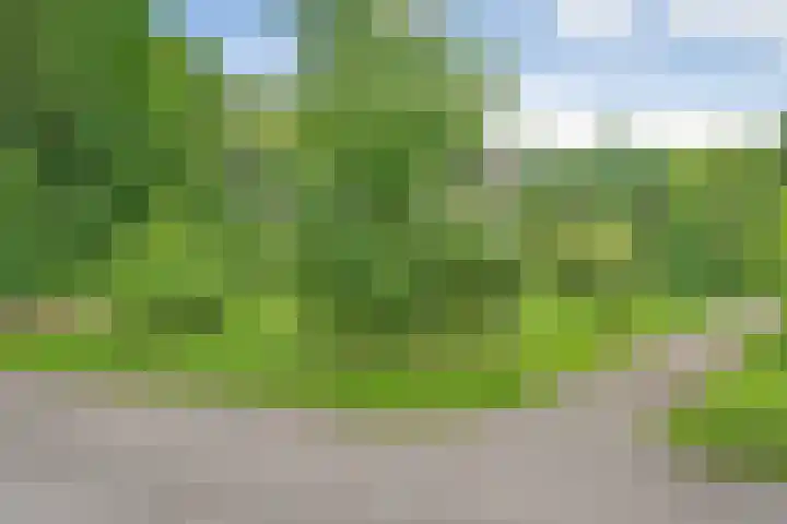 Holterweg 85 036 Nieuw Heeten thumbnail 7