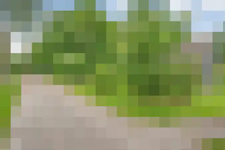 Holterweg 85 036 Nieuw Heeten thumbnail 8