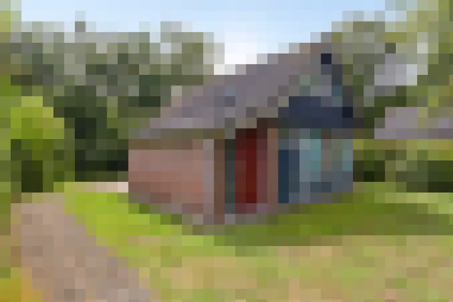 Holterweg 85 037 Nieuw Heeten thumbnail 22