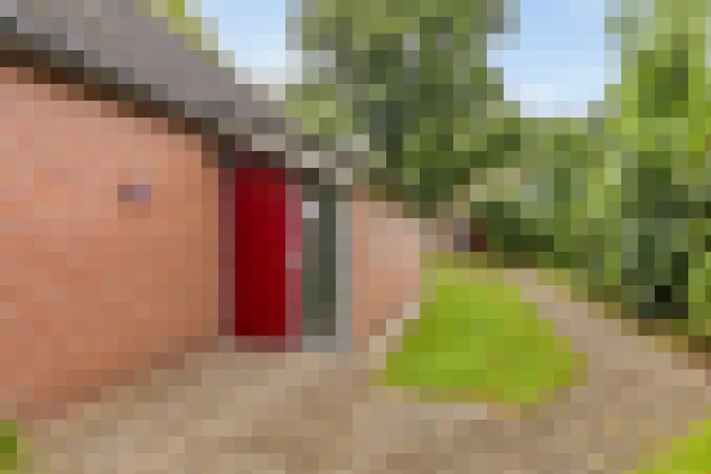 Holterweg 85 037 Nieuw Heeten thumbnail 24