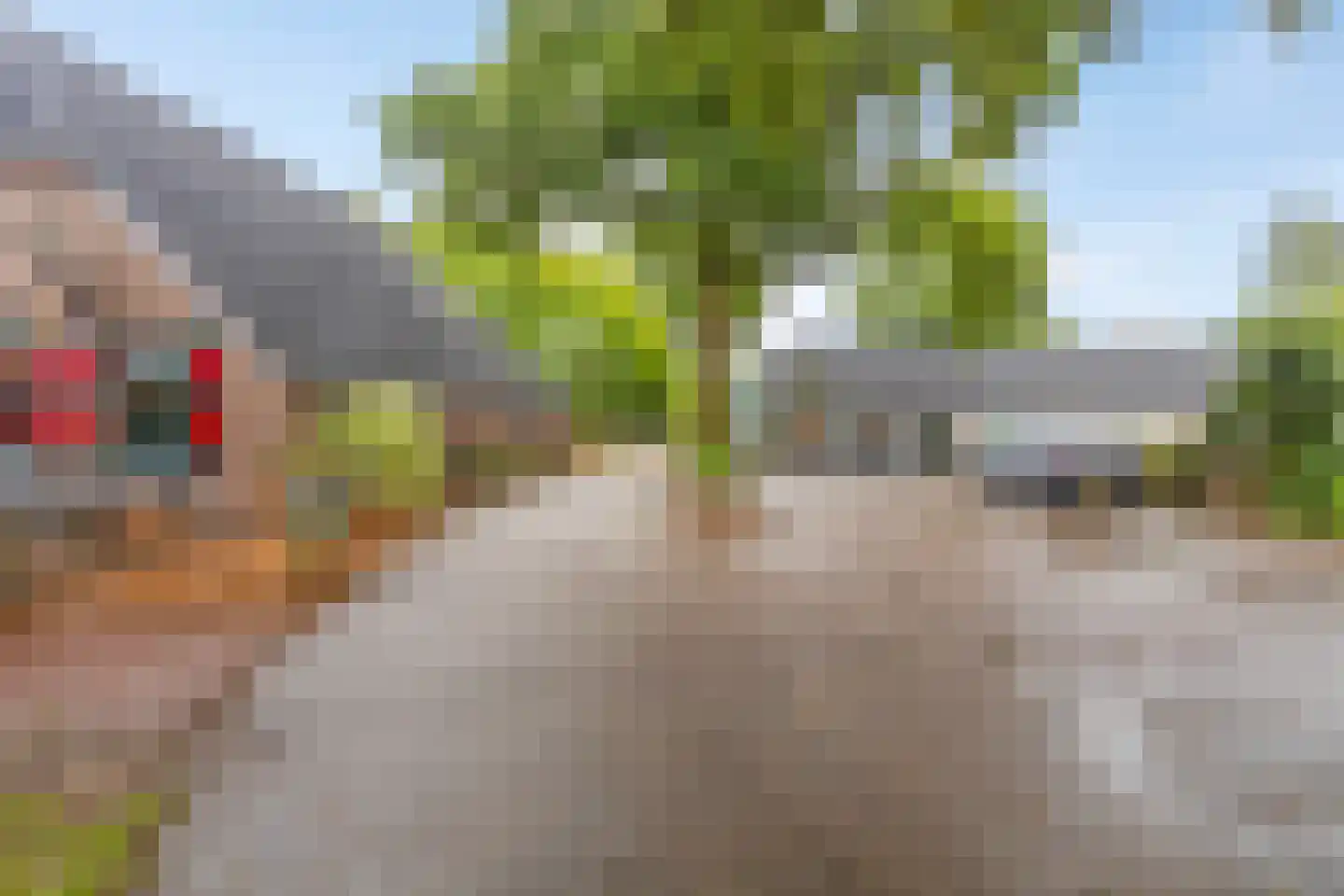Holterweg 85 037 Nieuw Heeten thumbnail 29