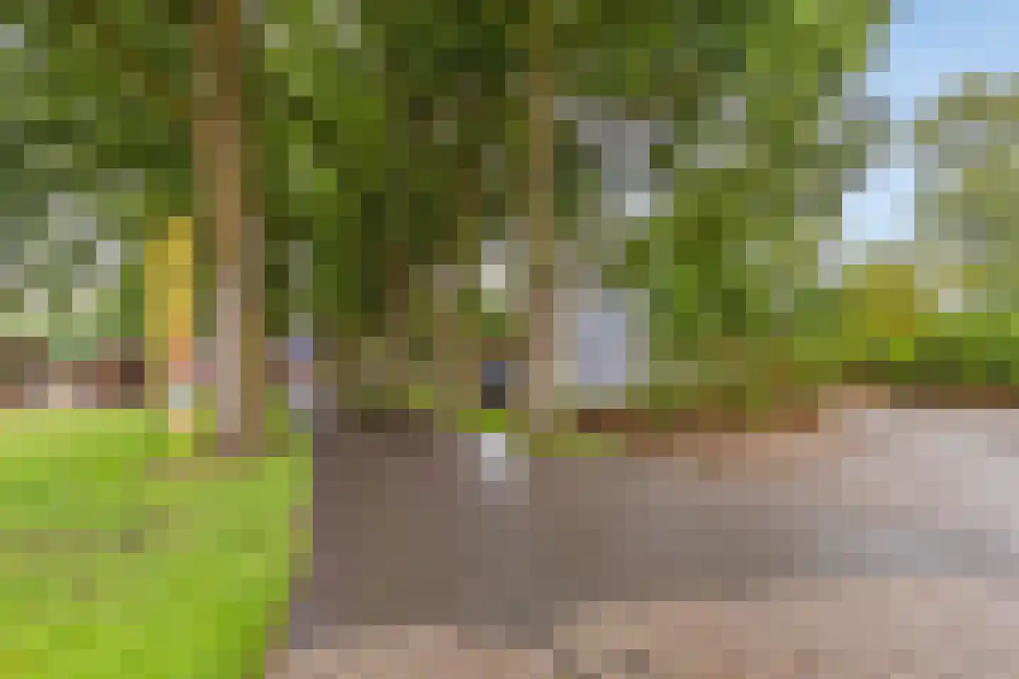 Holterweg 85 037 Nieuw Heeten thumbnail 30