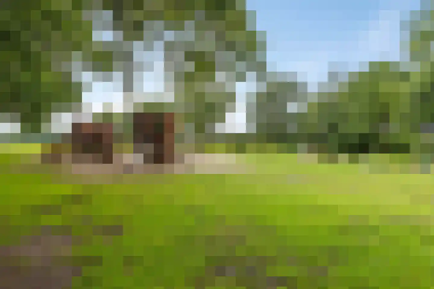 Holterweg 85 037 Nieuw Heeten thumbnail 31